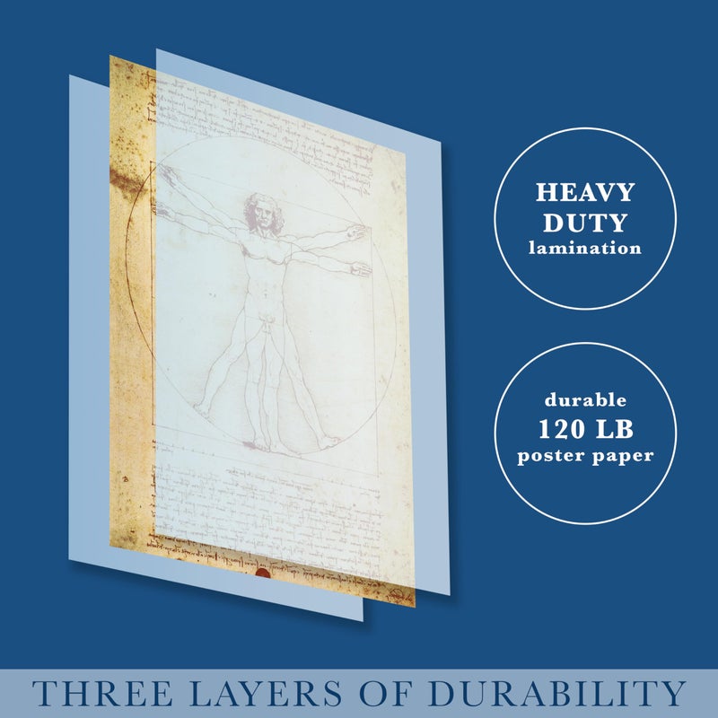 Palace Learning Vitruvian Man by Leonardo Da Vinci Poster - Proportions of the Human Figure Drawing - Fine Art Print (LAMINATED, 18" x 24") - Image 3